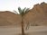  Desert near by Hurghada